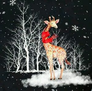 Meet your Posher, Liz